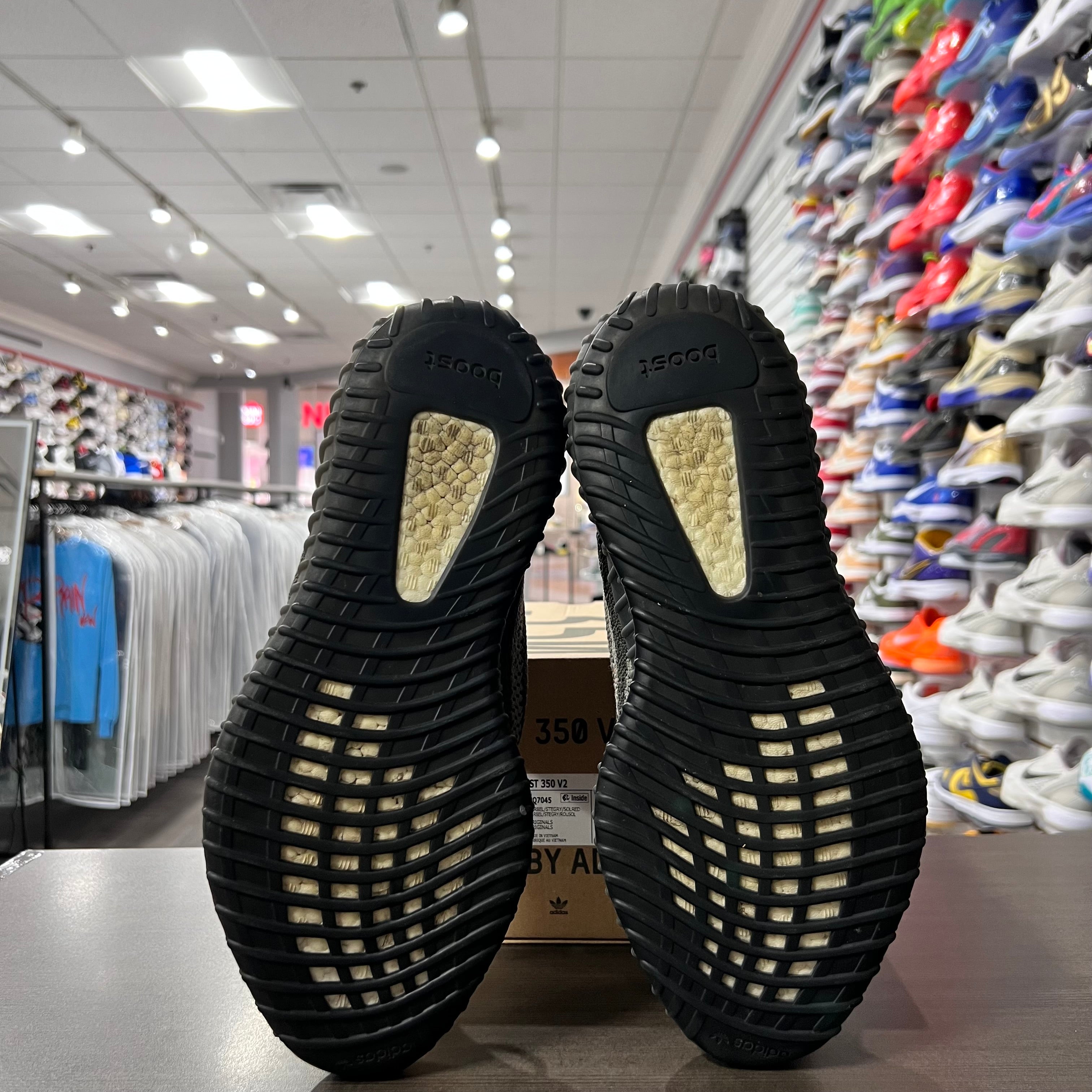 Adidas Yeezy Boost 350 V2 Carbon Beluga (Lightly Worn)