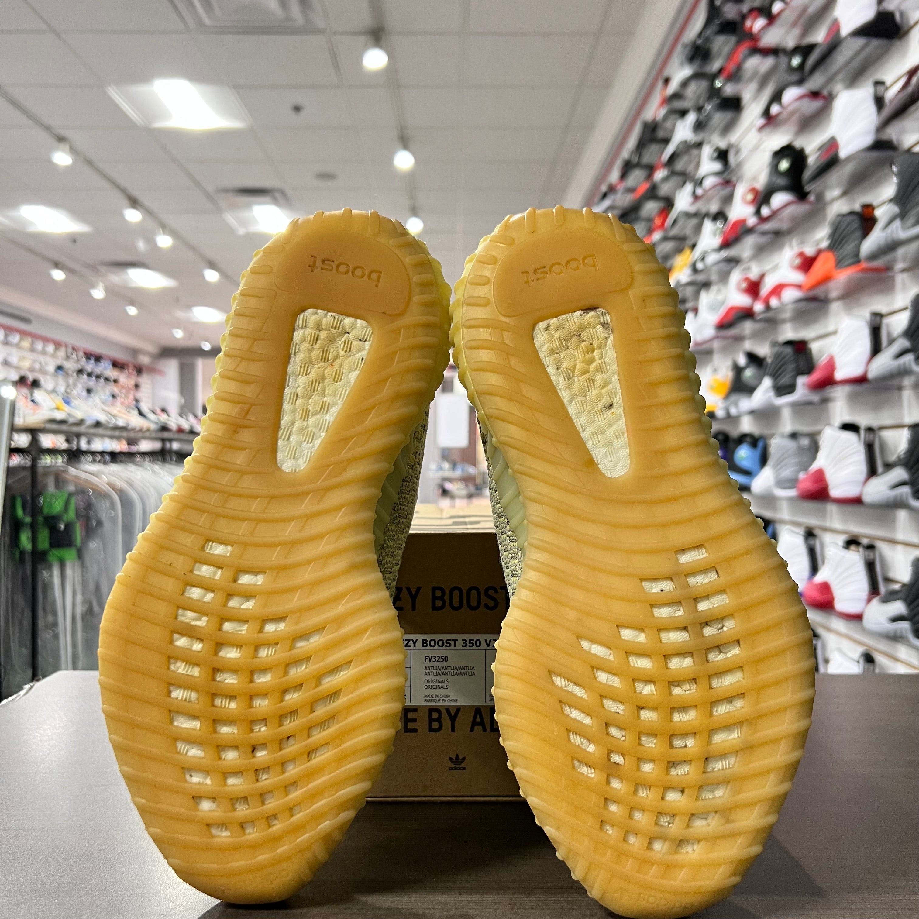 Yeezy 350 V2 Antlia (Lightly Worn)