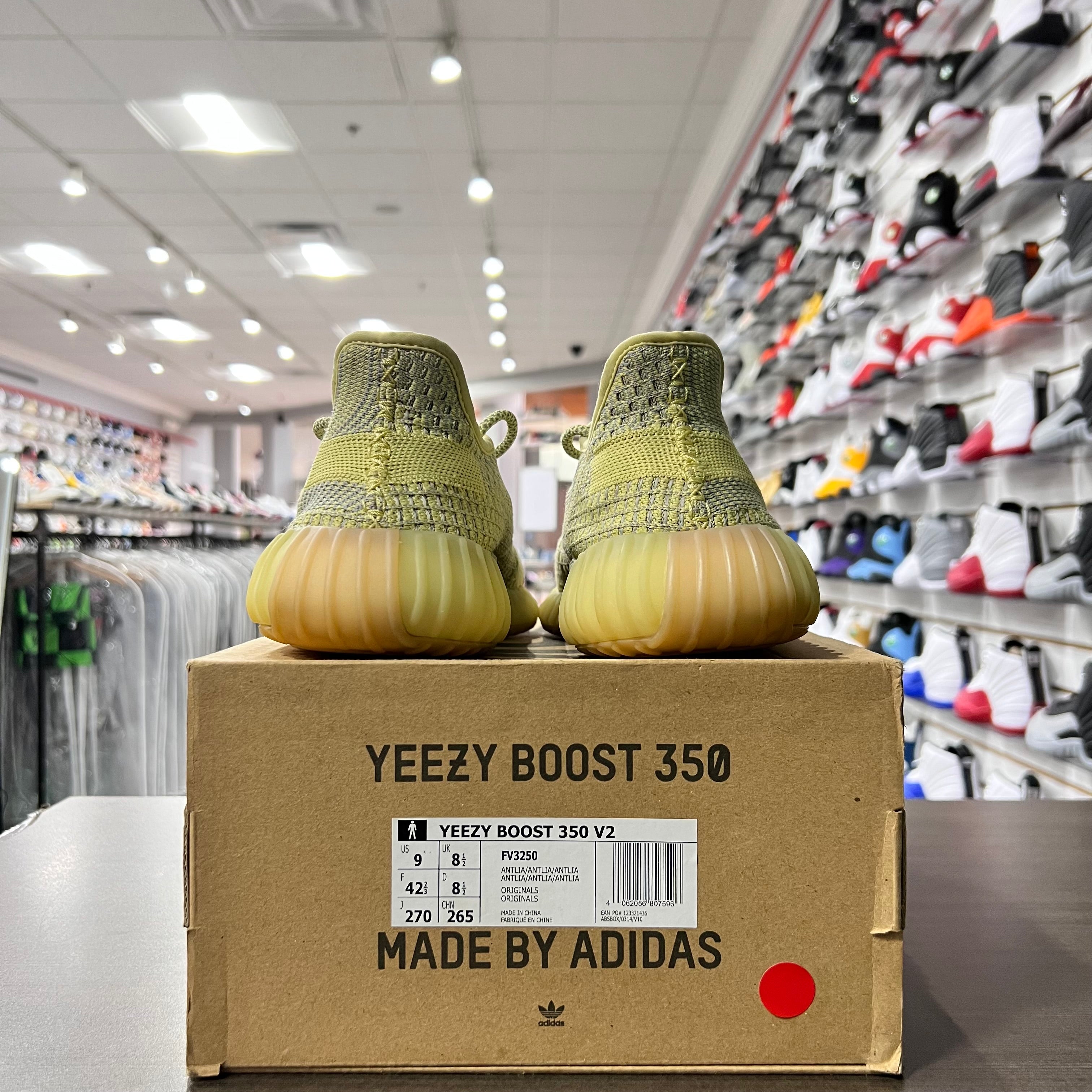 Yeezy 350 V2 Antlia (Lightly Worn)