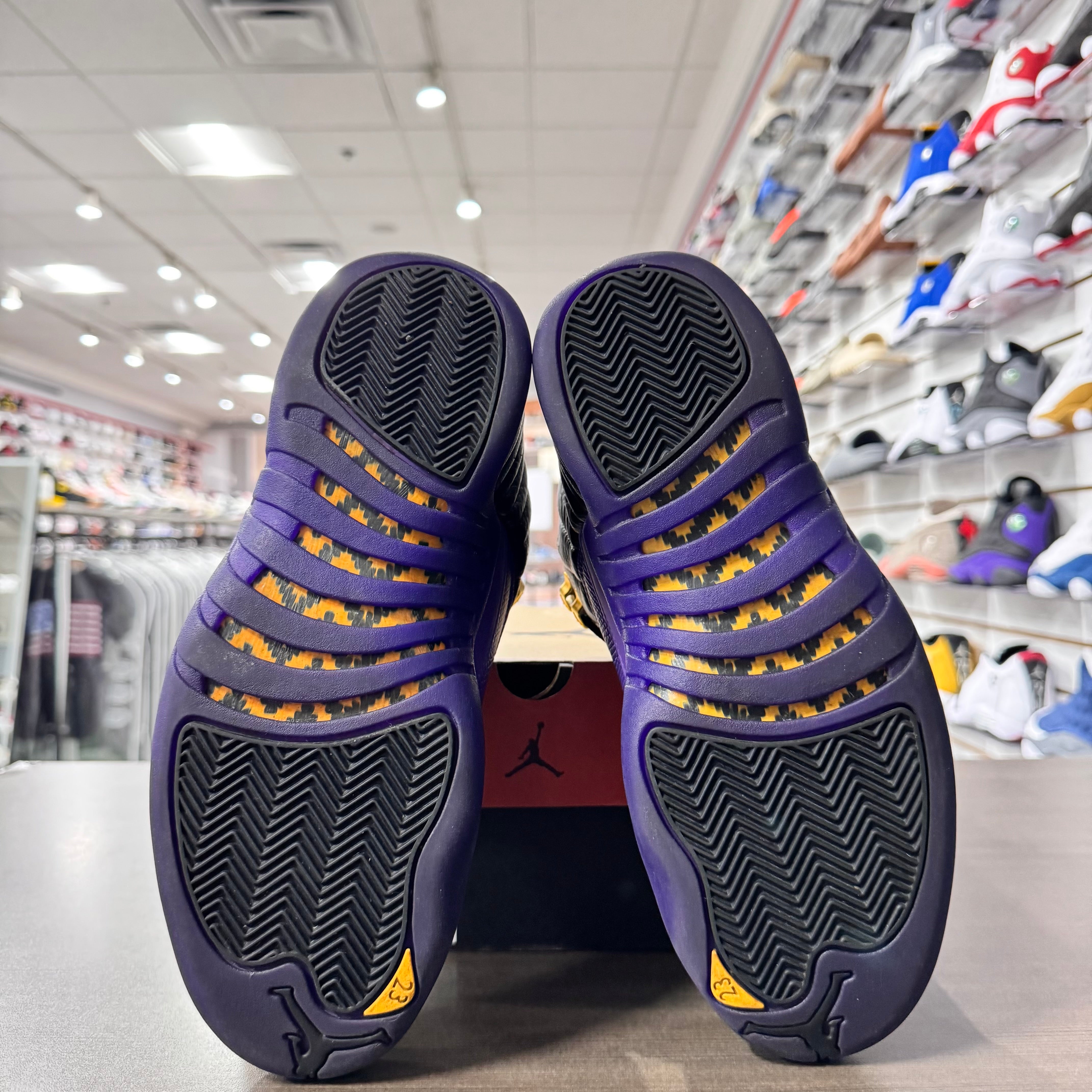 Jordan Retro 12 Mens Field Purple (Lightly Worn)