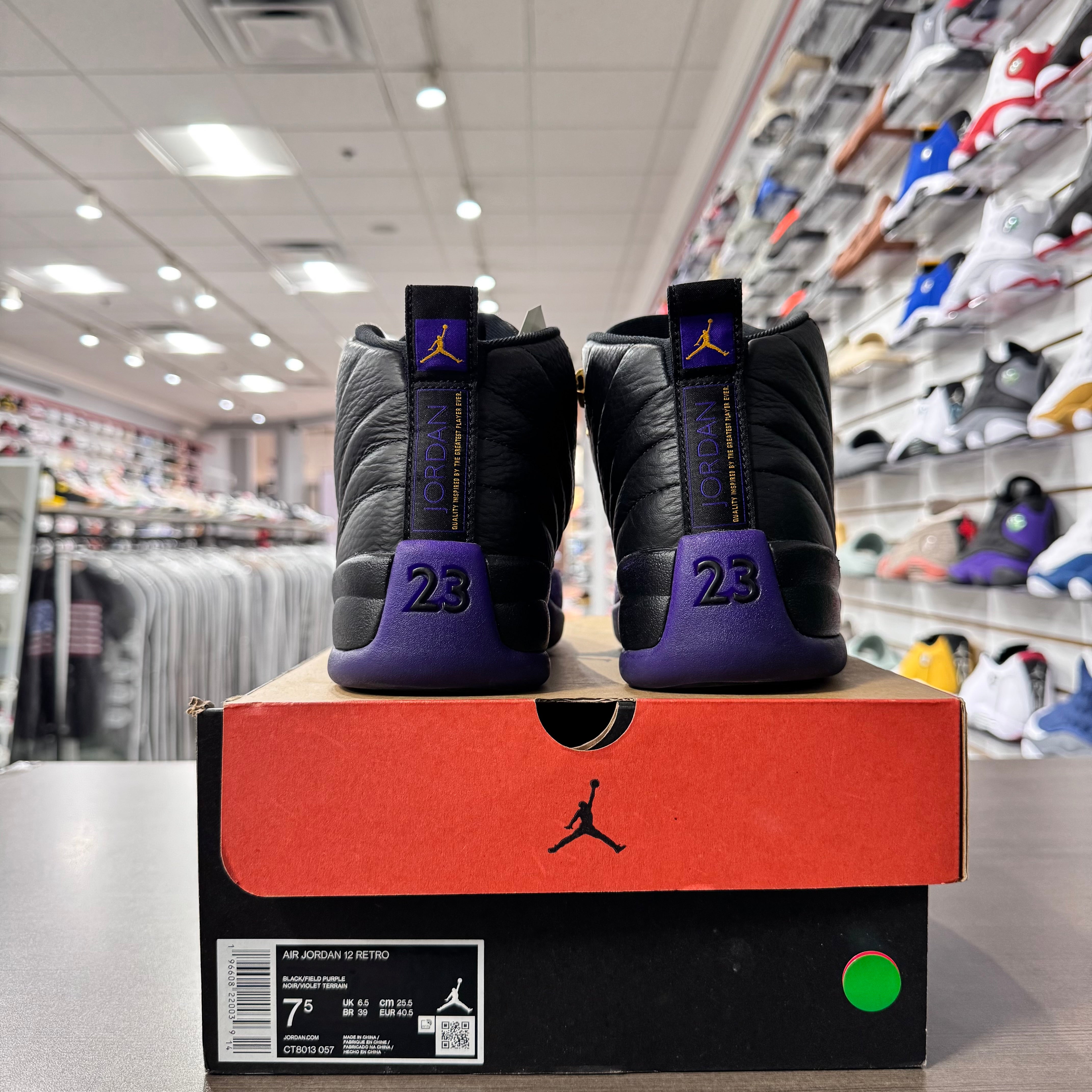 Jordan Retro 12 Mens Field Purple (Lightly Worn)