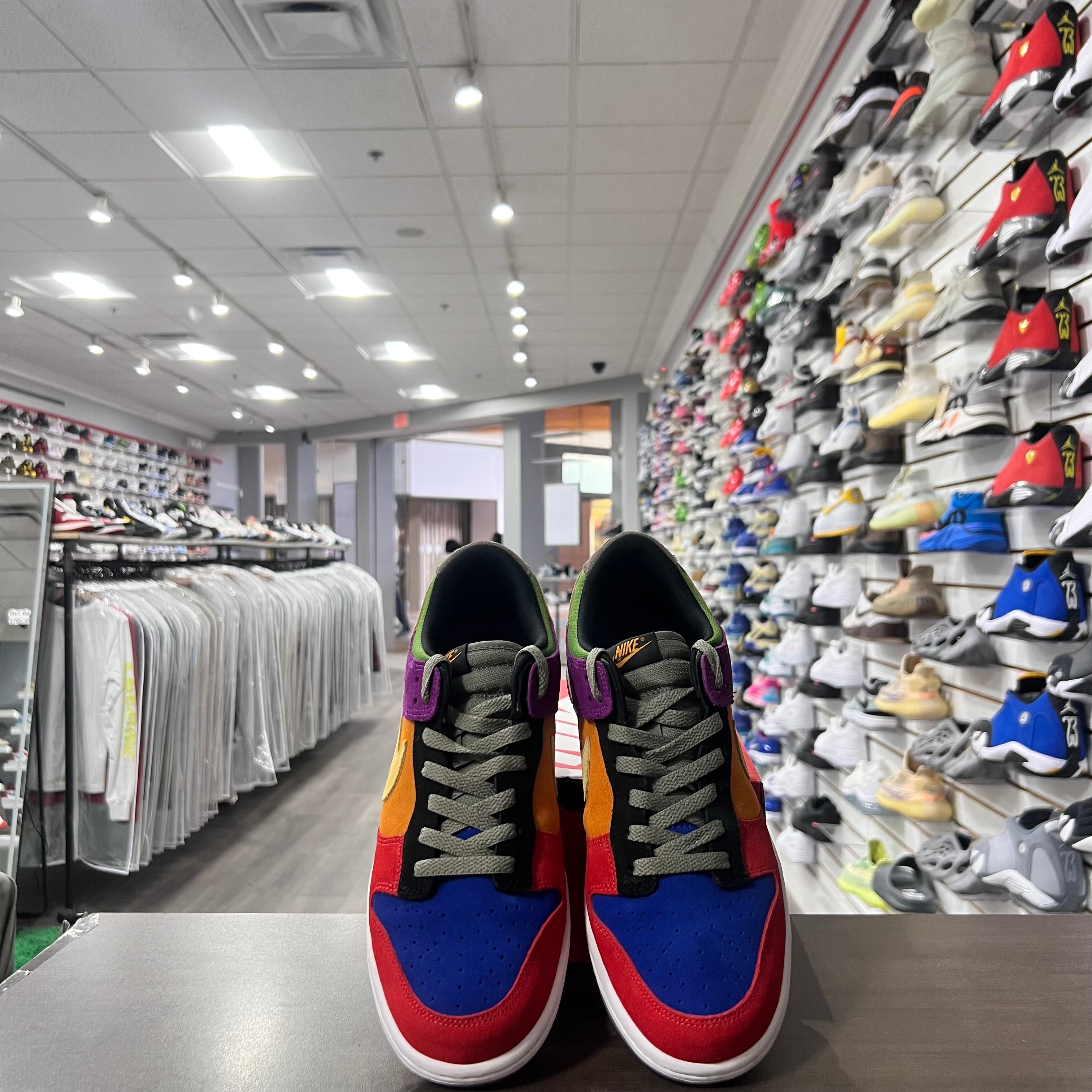 Nike Dunk Low Sp Viotech (2019)(Lightly Worn)