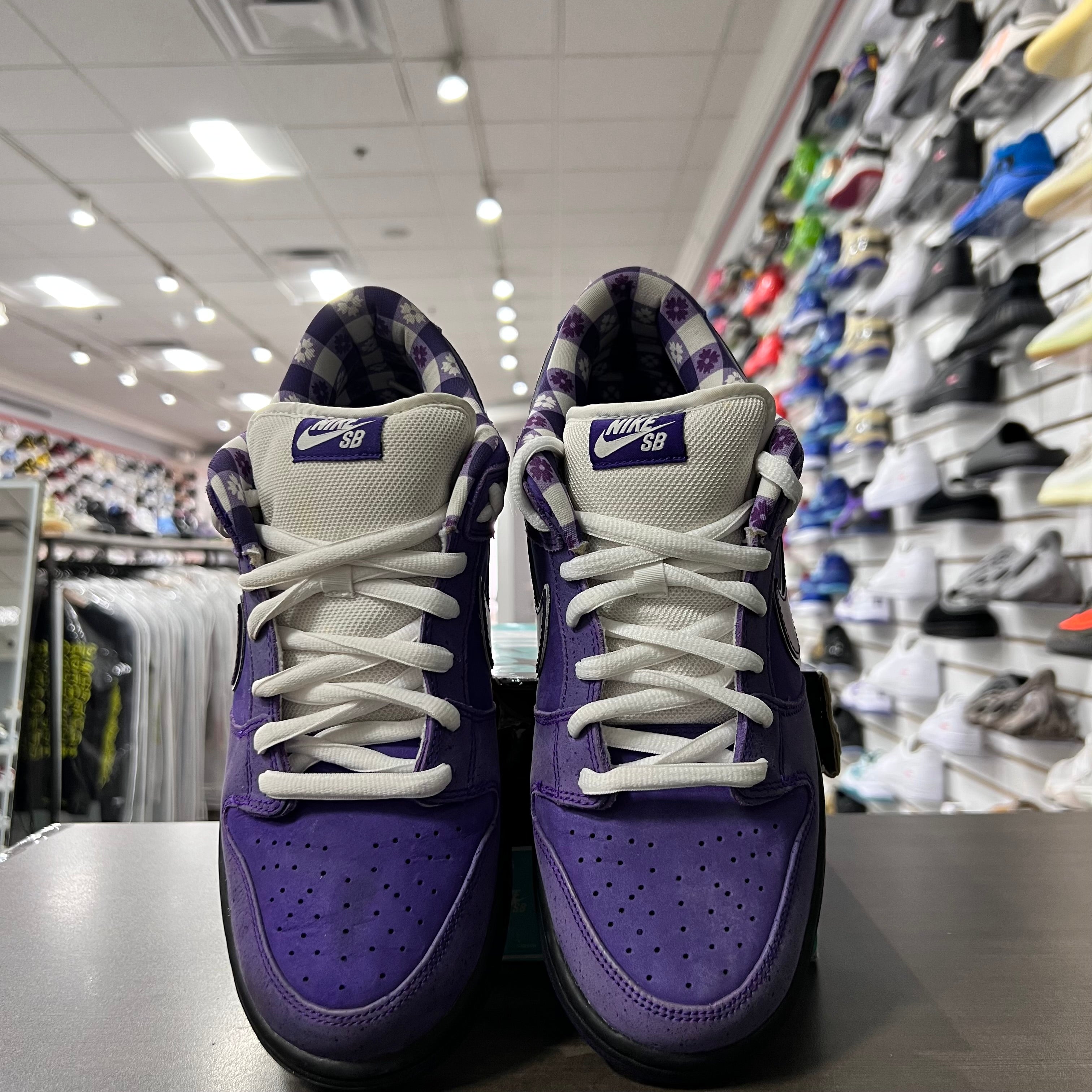 Nike Sb Dunk Low Purple Lobster (Lightly Worn)
