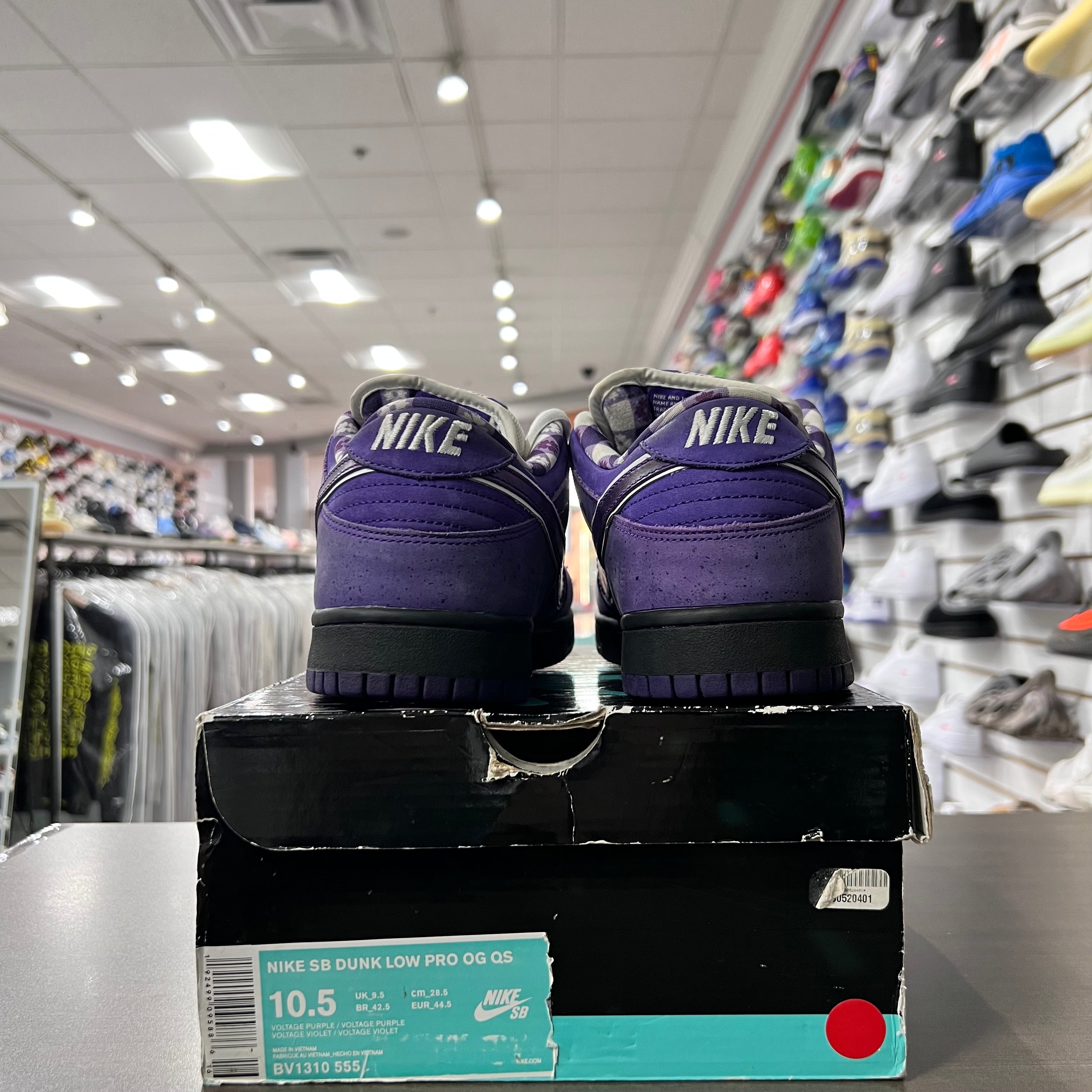 Nike Sb Dunk Low Purple Lobster (Lightly Worn)