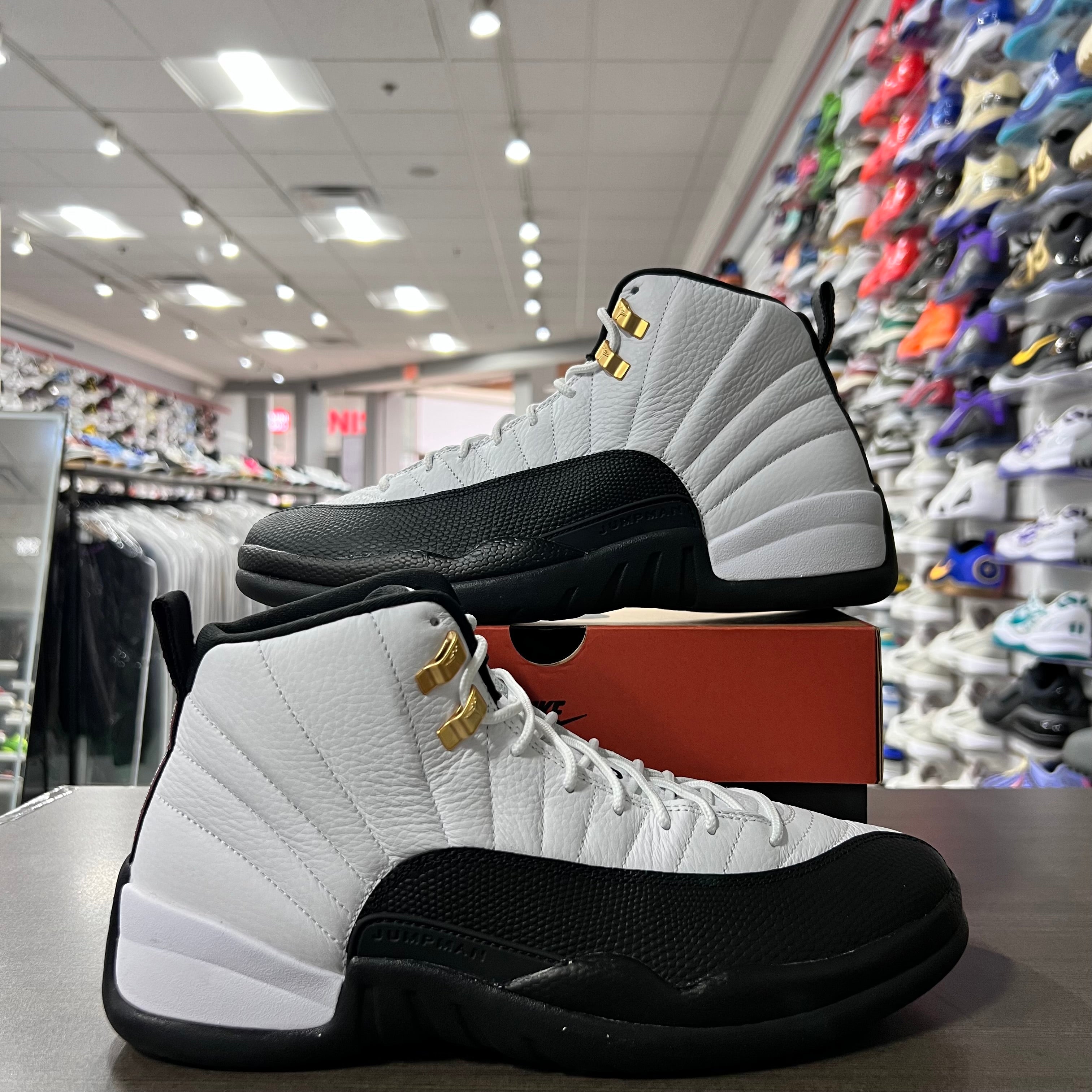 Jordan Retro 12 Men's Royalty (Lightly Worn)