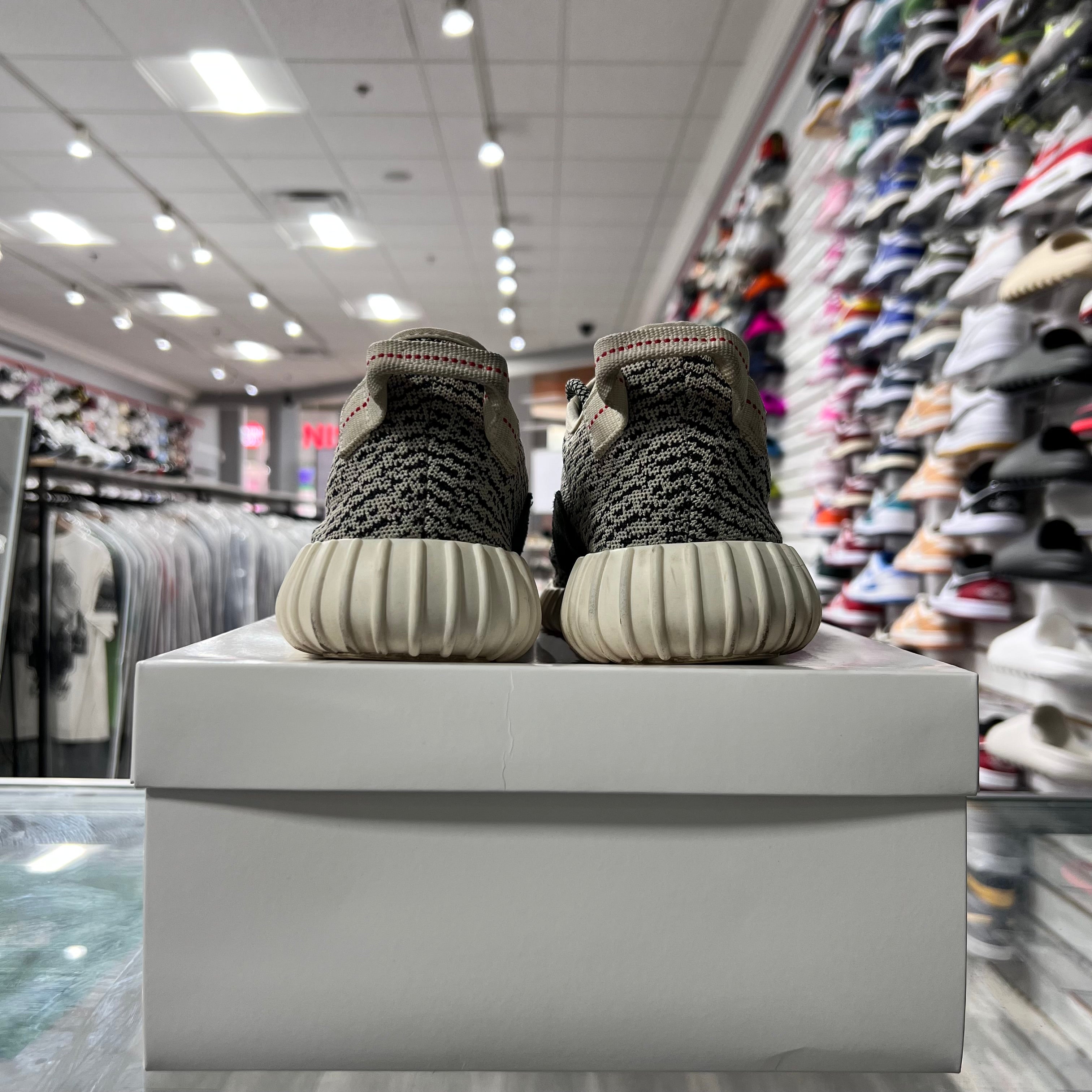 Adidas Yeezy 350 Turtle Dove (2022)(Lightly Worn+Replacement Box)