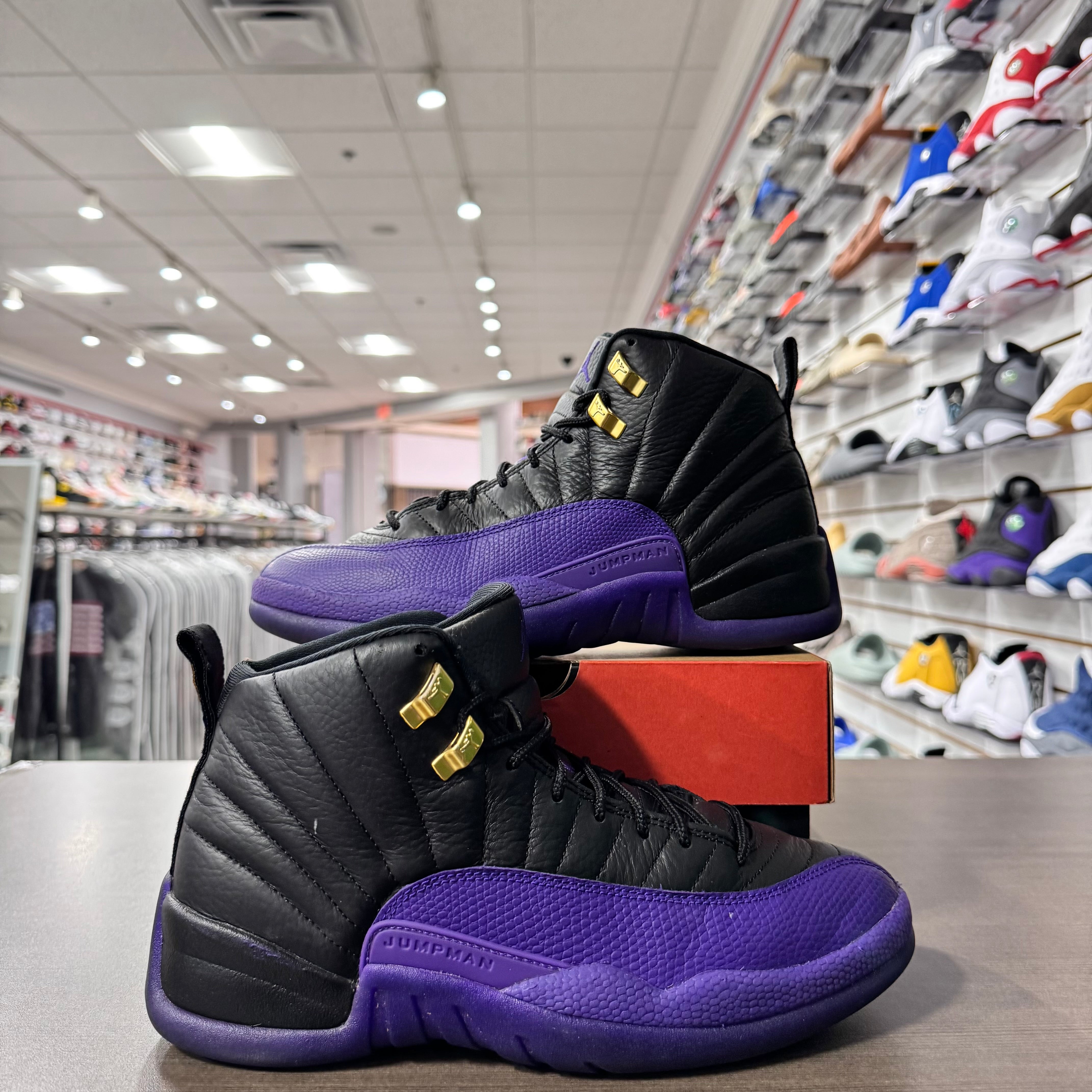 Jordan Retro 12 Mens Field Purple (Lightly Worn)
