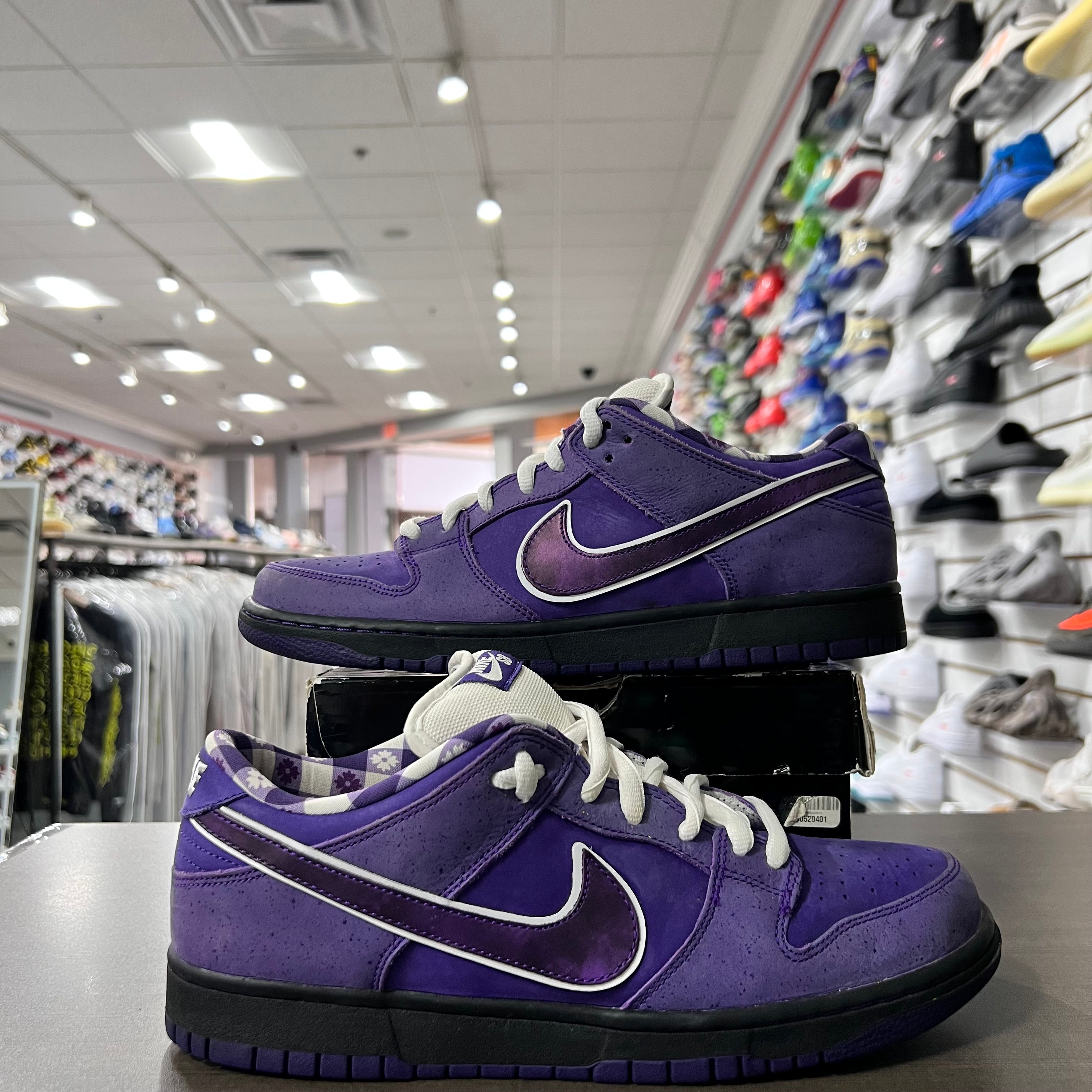 Nike Sb Dunk Low Purple Lobster (Lightly Worn)