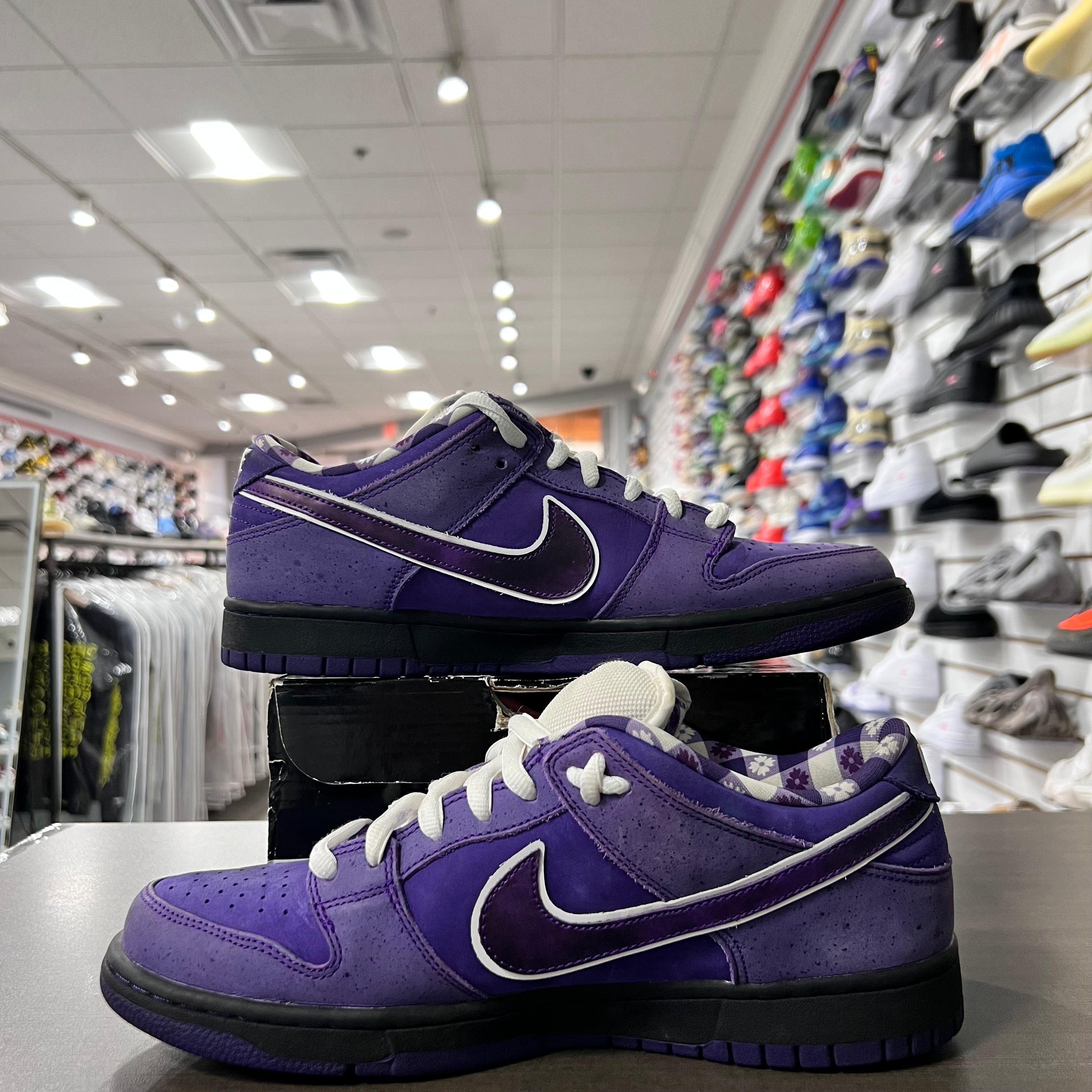 Nike Sb Dunk Low Purple Lobster (Lightly Worn)