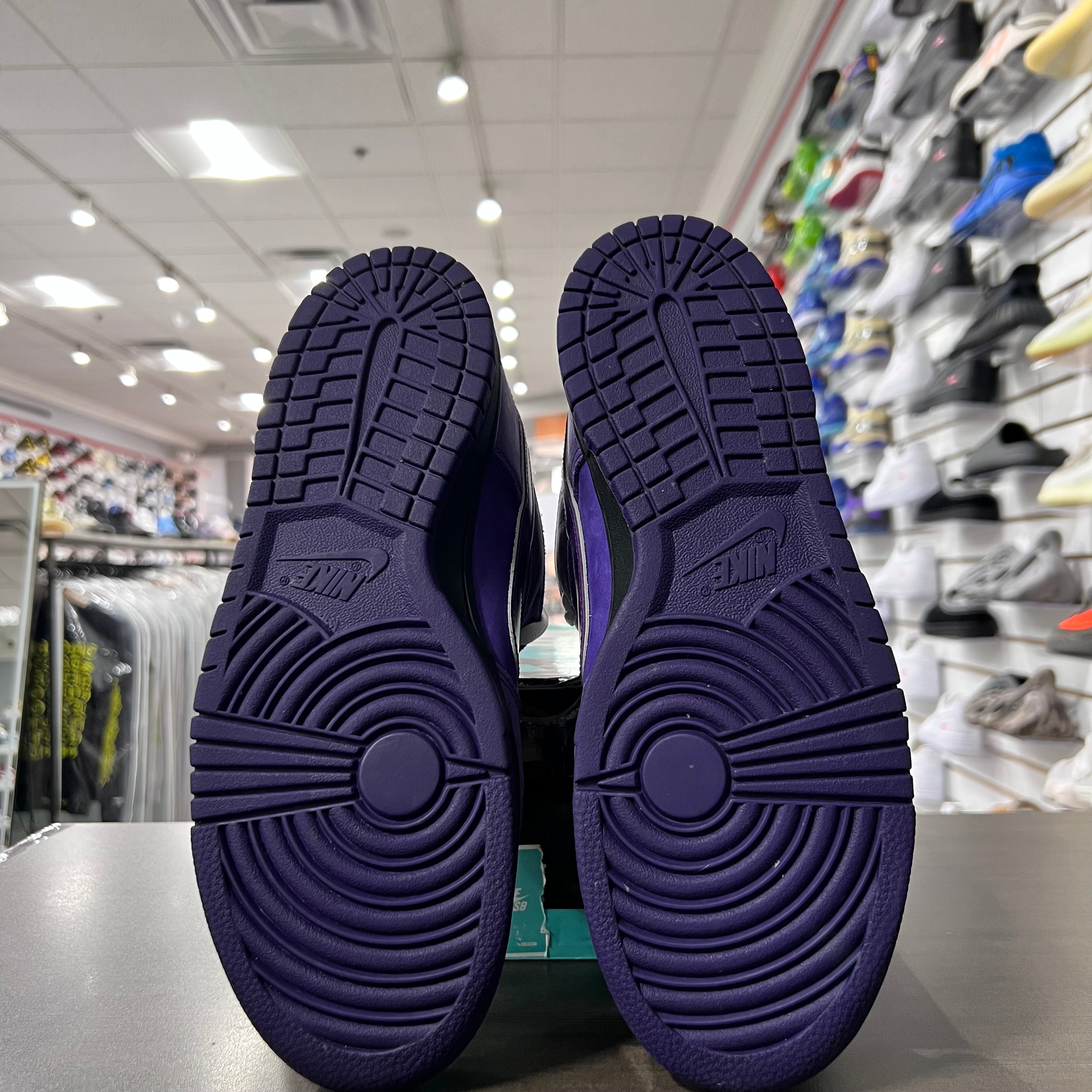 Nike Sb Dunk Low Purple Lobster (Lightly Worn)
