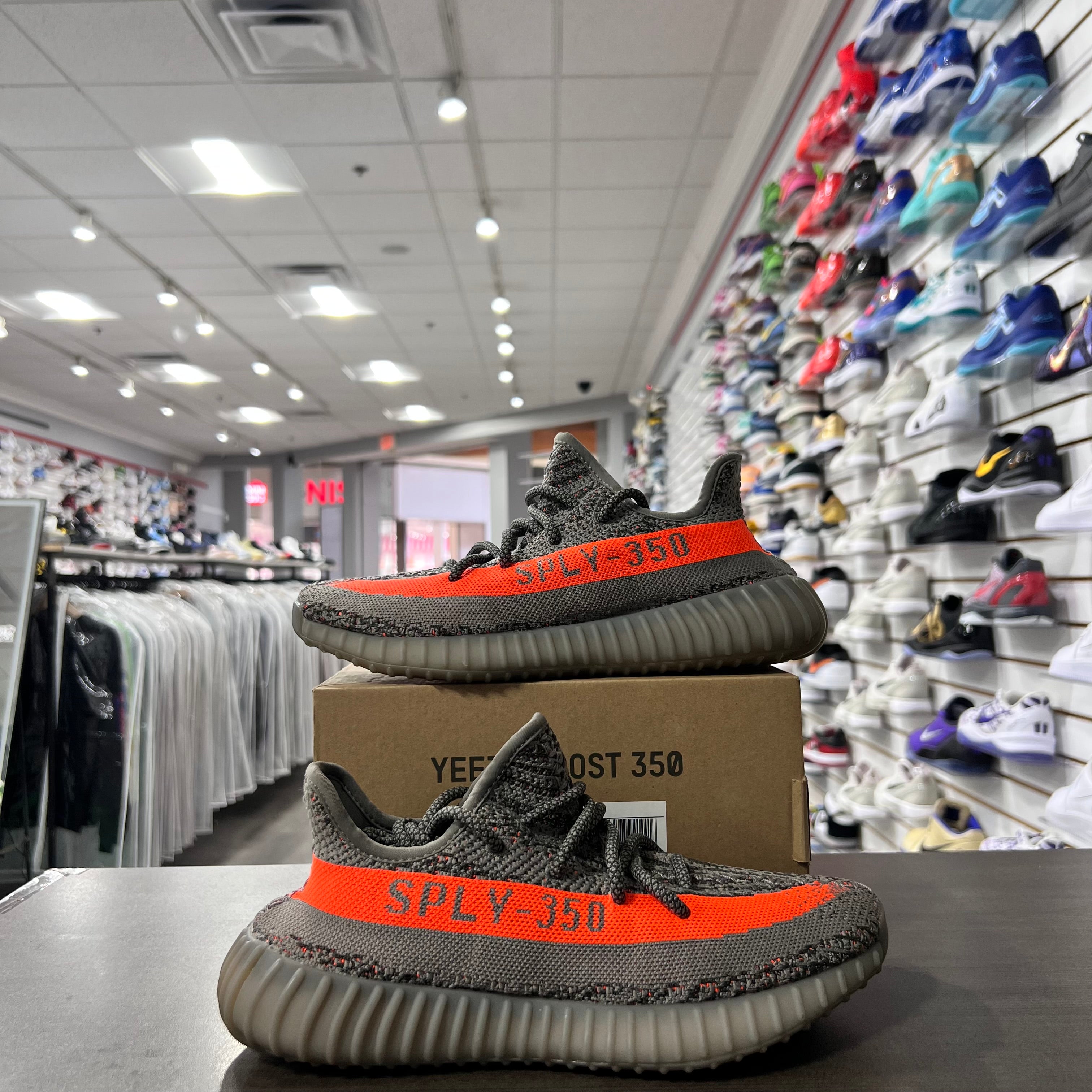 Yeezy 350 V2 Beluga Reflective (Lightly Worn)