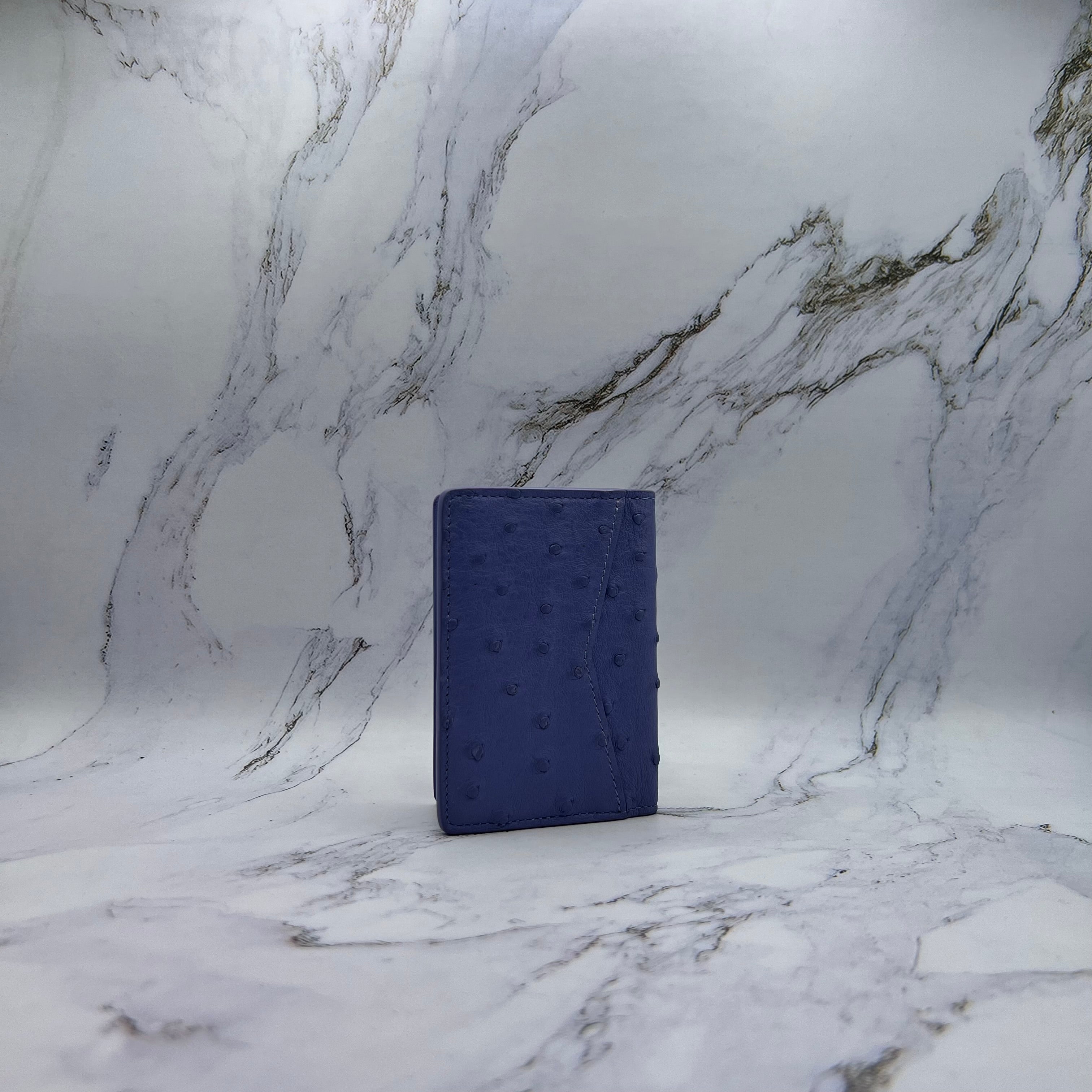 Louis Vuitton Card Holder Lilac Ostrich Leather (Lightly Worn)